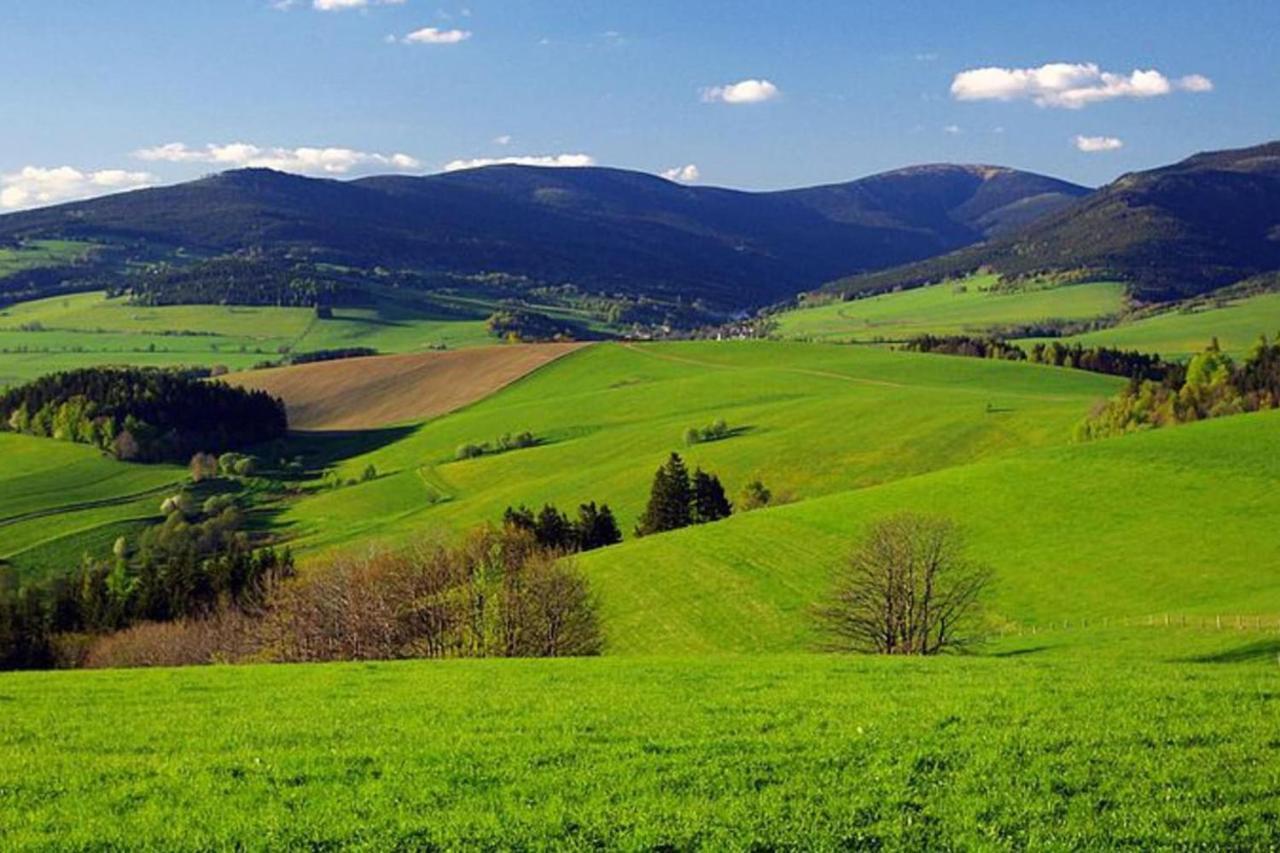 Chata Pod Rejvizem Jesenik Bagian luar foto