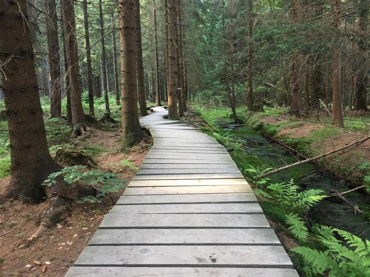 Chata Pod Rejvizem Jesenik Bagian luar foto